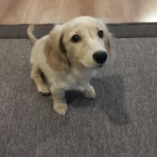 「りんちゃん🎀」のユーザーアイコン