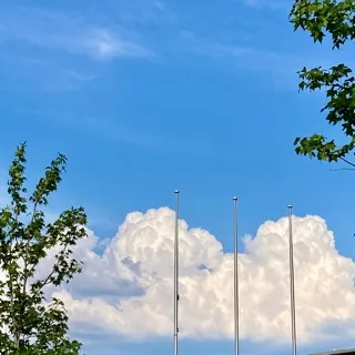 「ri♬´-」のユーザーアイコン