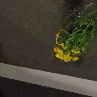 「しおちょこぱん」のユーザーアイコン