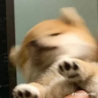 「ゆあっち」のユーザーアイコン