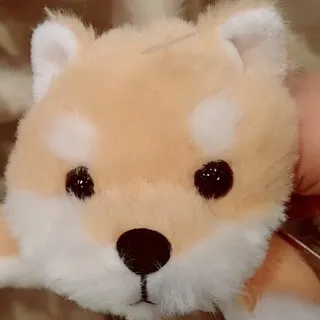 「SAKI」のユーザーアイコン