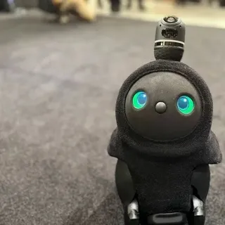 「p」のユーザーアイコン