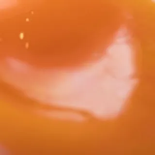 「茹でた孫(トロトロ)」のユーザーアイコン