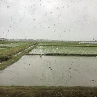 「ツキちゃん」のユーザーアイコン