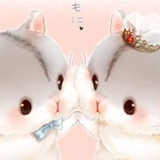 「𝓗 ❀.*ﾟ」のユーザーアイコン