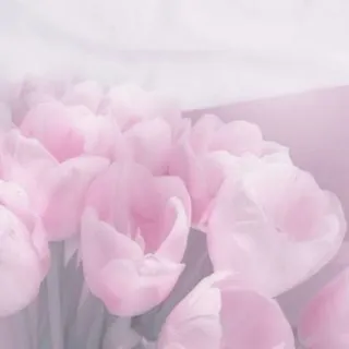 「ゆな🩷️」のユーザーアイコン