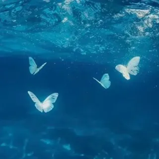 「和花」のユーザーアイコン