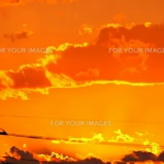 「鶏」のユーザーアイコン