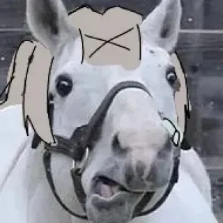 「もかですんスマホ版」のユーザーアイコン