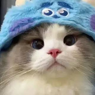 「みなみ🐾」のユーザーアイコン