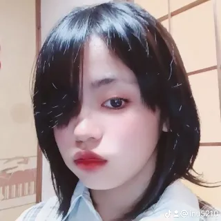 「犬」のユーザーアイコン