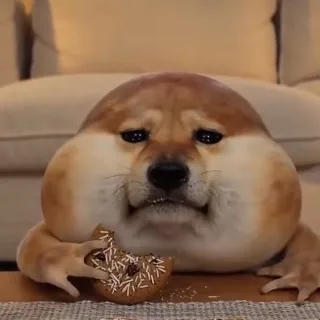 「아사히」のユーザーアイコン