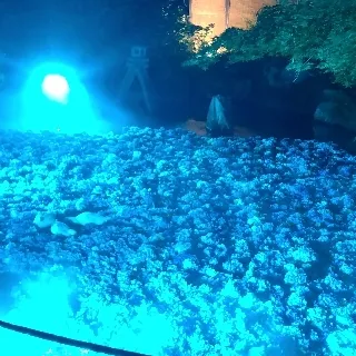 「こう」のユーザーアイコン