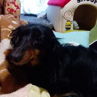 「めい」のユーザーアイコン