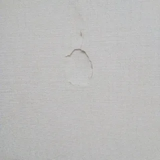 「たいよう」のユーザーアイコン