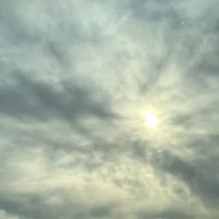 「ストレス解消法」のユーザーアイコン