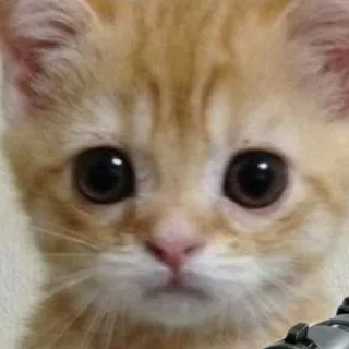 「お湯」のユーザーアイコン