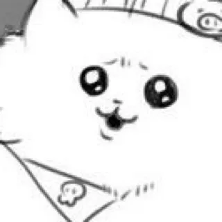 「忠犬きら公」のユーザーアイコン