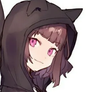 「トラ猫」のユーザーアイコン