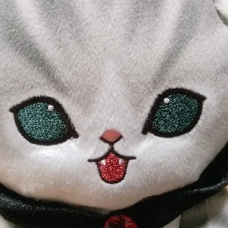 「サメにゃん」のユーザーアイコン