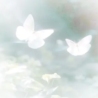 「水琴」のユーザーアイコン