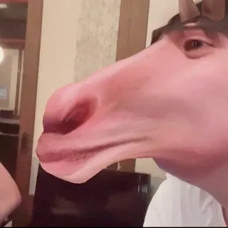 「おっかーさ」のユーザーアイコン