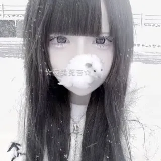 「¿」のユーザーアイコン