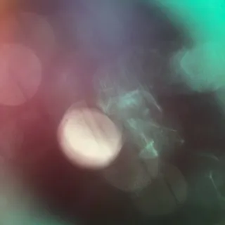 「花」のユーザーアイコン