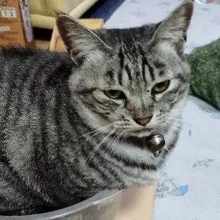 「必ず最初に読もう！」のユーザーアイコン