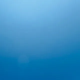 「tmmn」のユーザーアイコン