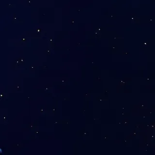 「👋🏻」のユーザーアイコン