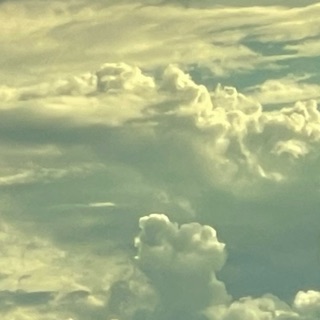 「エリス」のユーザーアイコン