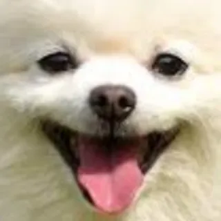 「じょうでーす」のユーザーアイコン
