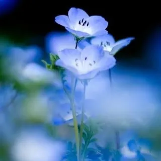 「おたく」のユーザーアイコン