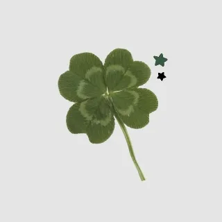 「迷 。」のユーザーアイコン