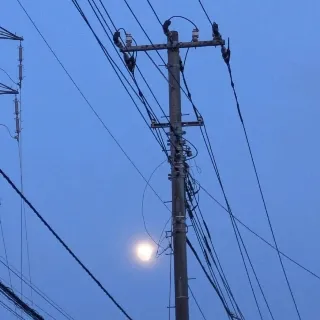 「しょうや」のユーザーアイコン