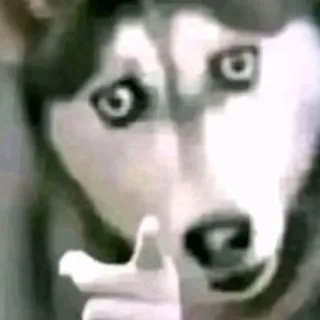 「頼むから帰らせろ」のユーザーアイコン