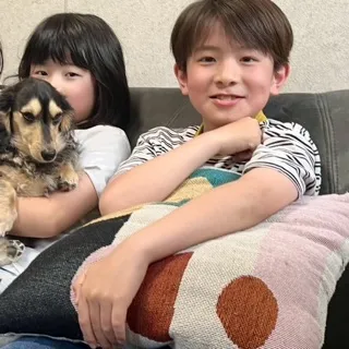 「なーちゃん(イケメンうそ」のユーザーアイコン