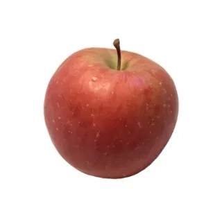 「り。んご」のユーザーアイコン