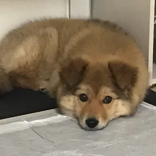 「あくあ」のユーザーアイコン