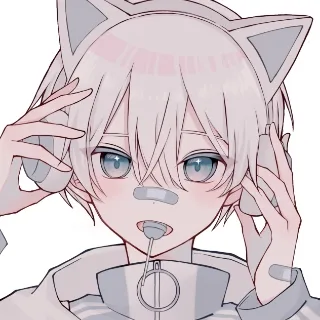 「どらいいーすと」のユーザーアイコン