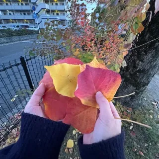 「いつき」のユーザーアイコン