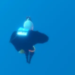 「s」のユーザーアイコン