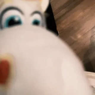 「♡🐾」のユーザーアイコン