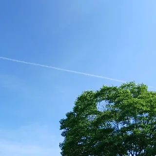 「ゆうりんご」のユーザーアイコン