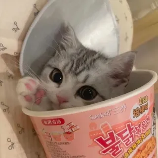 「やなぎ」のユーザーアイコン