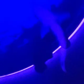 「ぃえ！！」のユーザーアイコン