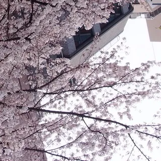 「はるお」のユーザーアイコン