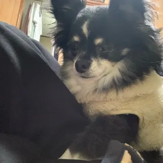 「かなで」のユーザーアイコン