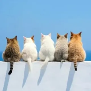 「大翔0401」のユーザーアイコン